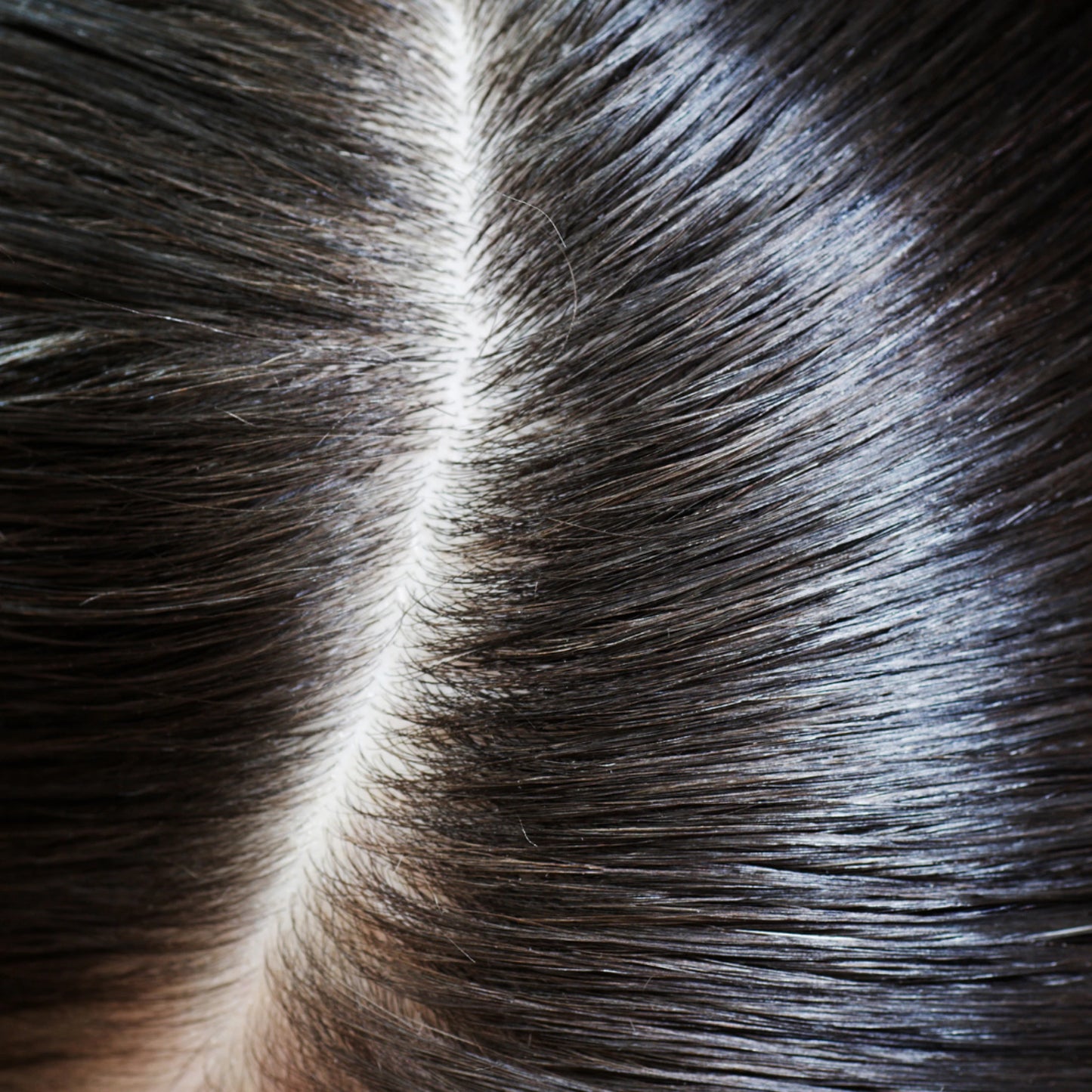 illustration utilisation shampooing antipelliculaire botanique FORVIL