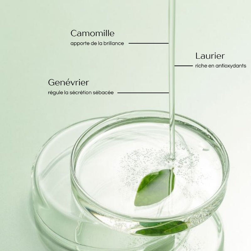 Shampoing Antipelliculaire 300ml