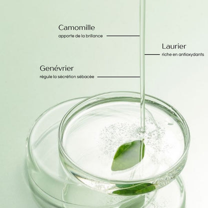 Shampoing Antipelliculaire 300ml