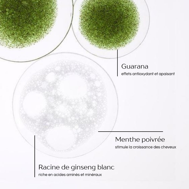 Ultra-Volumizing Densifying Shampoo