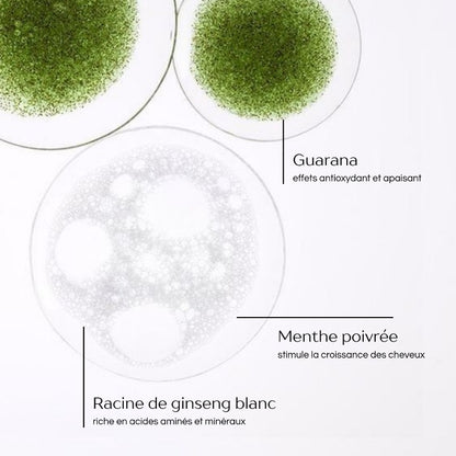 Ultra-Volumizing Densifying Shampoo