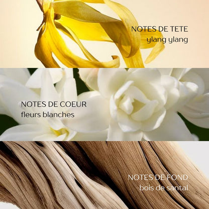 Ultra-Volumizing Densifying Shampoo